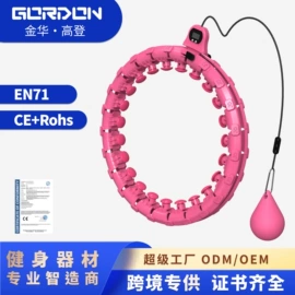 其他健身器材;其他搏击用品;健腹器