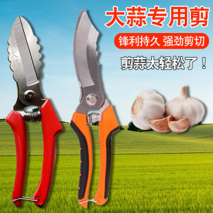 �r�ù��ߴ�������S��65�i䓰��^�����[����^����o���^�����