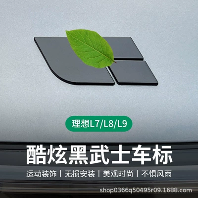 Car logo | Installation, Car Logo Modification