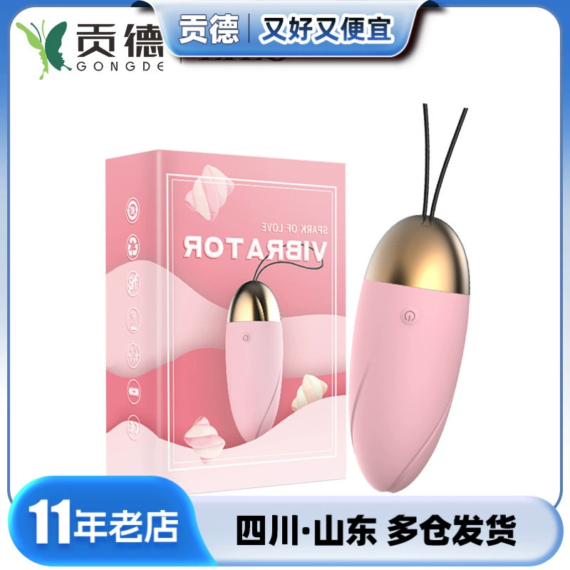 Laile Pink Girl Wireless Egg Jumping 10 Frequency Vibration Invisible Wear Egg Jumping Female Masturbator Sex Supplies