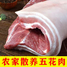 5斤国产五花肉新鲜现杀猪肉三鲜肉散养土猪猪肉生猪肉整箱包