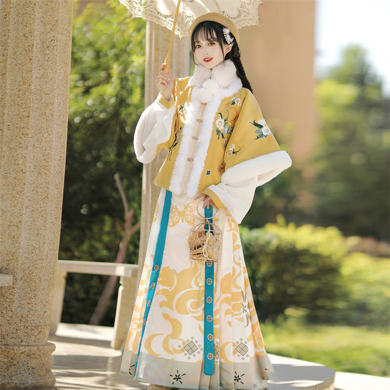 Original Ming Dynasty-style Hanfu for women, new winter collection: improved and thicker horse-face skirt, traditional Chinese New Year outfit Original Ming Dynasty-style Hanfu for women, new winter collection: improved and thicker horse-face skirt, traditional Chinese New Year outfit