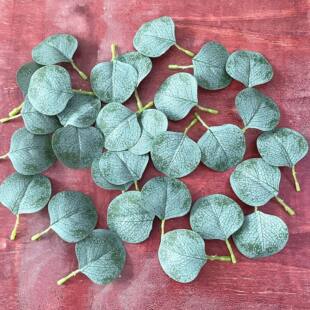 Simulation Money Ye Yugalye's cross -border cargo source wedding flower arrangement accessories single green plant simulation Eugali leaves