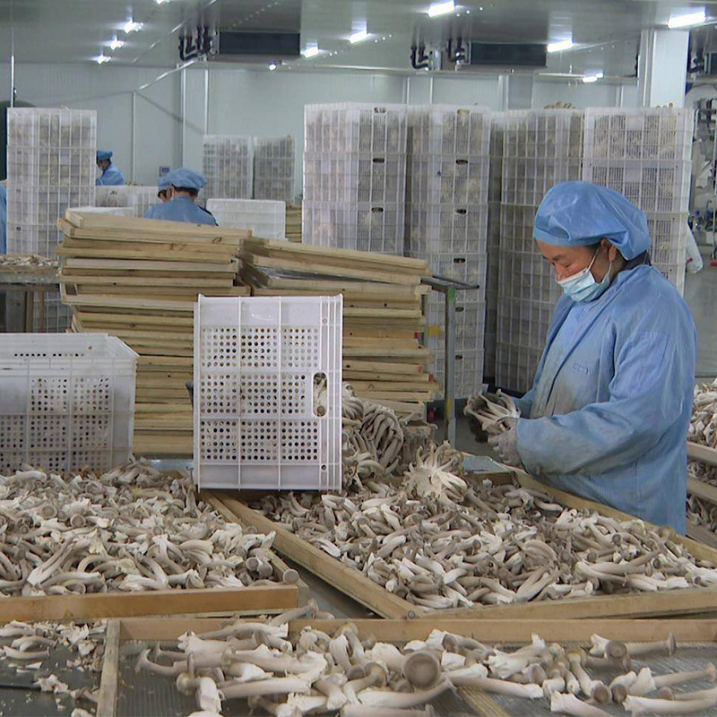 ȫ�Զ����ܻ�¹�׹���ɻ� ���ҹ�Ӧ�����ܺ�ɳ�ʪһ�� �����豸