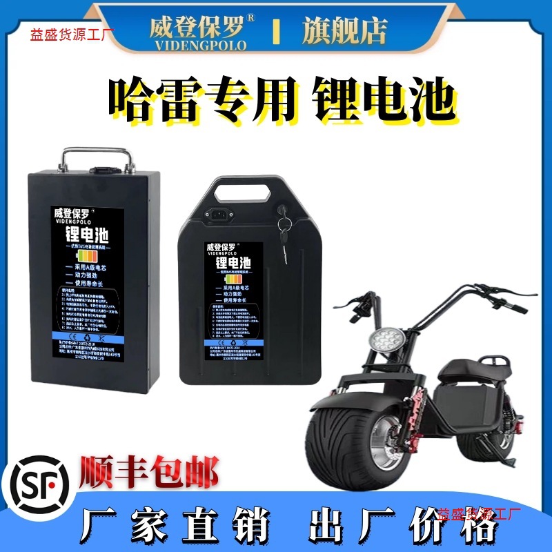 【便携提手】哈雷电动锂电池60v15ah20ah48v小电动滑板车大容量电