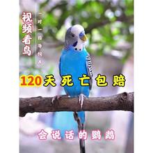 ���^��Ƥ�W�^���B���fԒ���W�^С�B���B�������B���w�����^�pĵ��