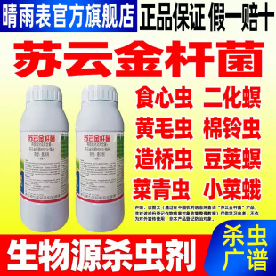 �K녽�U��bt�����rș���x�������x����x��������ë�x�rș���l
