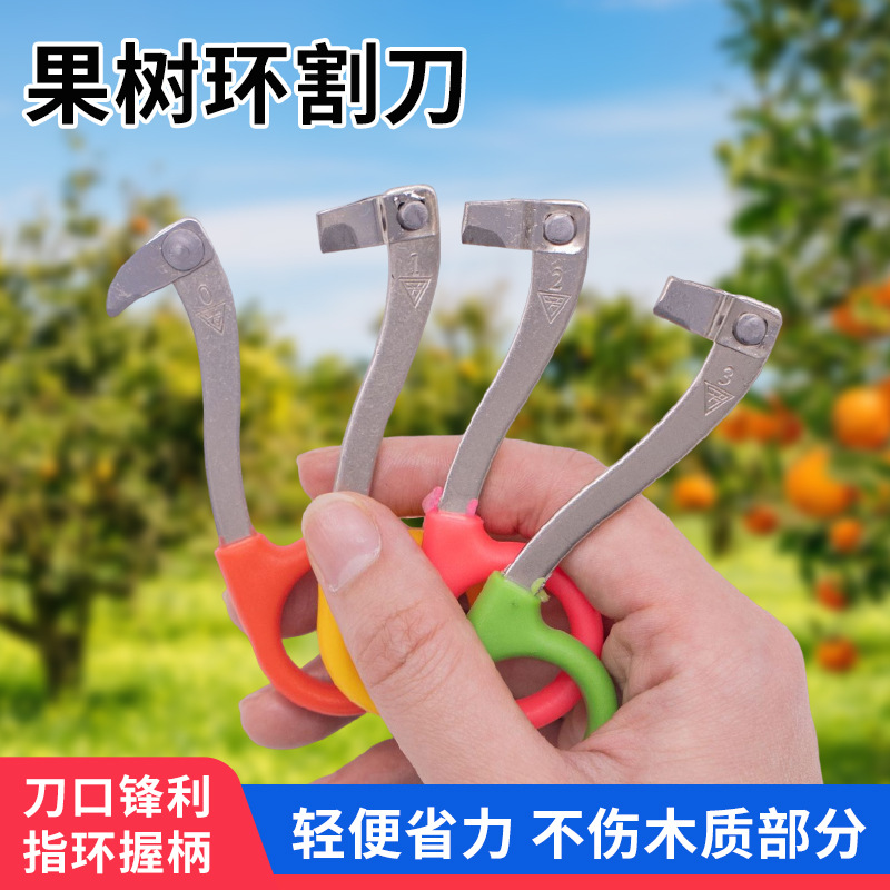 新品环割刀园艺刻芽刀柚子树柑橘果树环剥刀扁柄手指环剥刀0到3号 宠物及园艺厂家批发实拍图