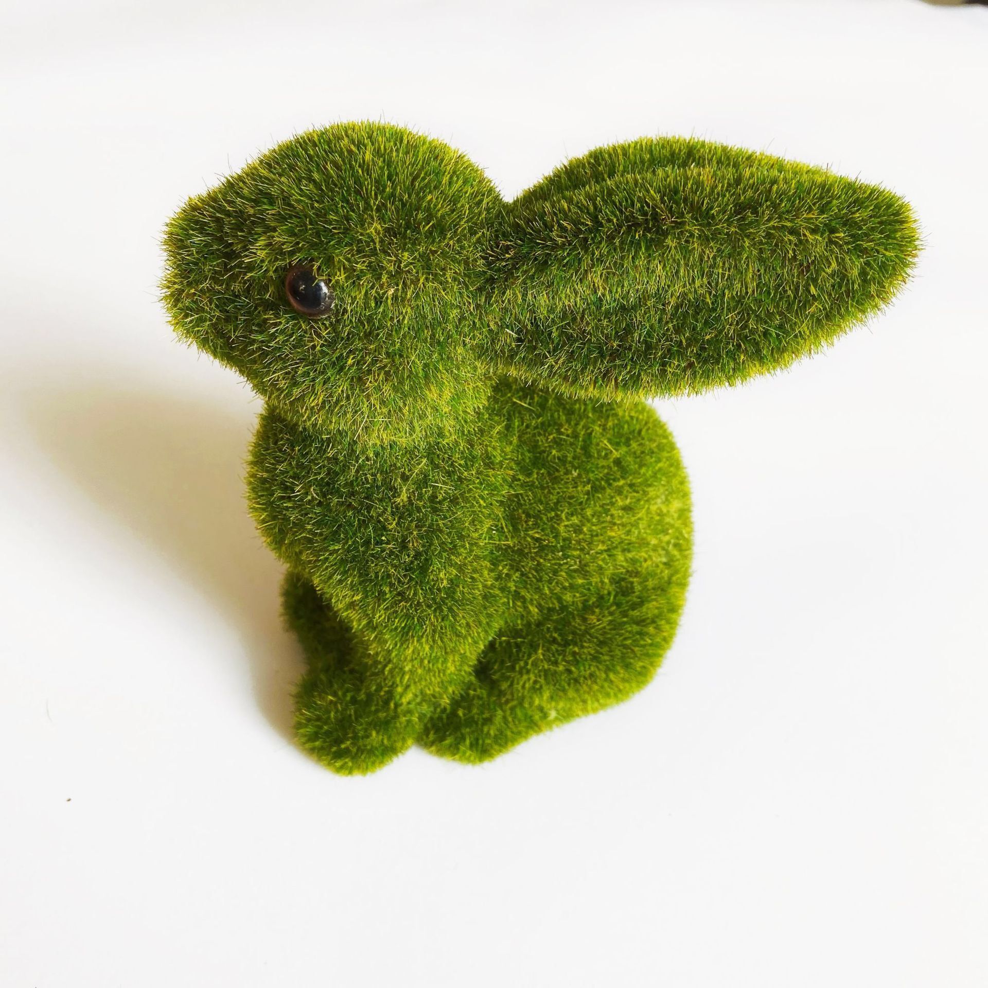 QQ图片20220124091127