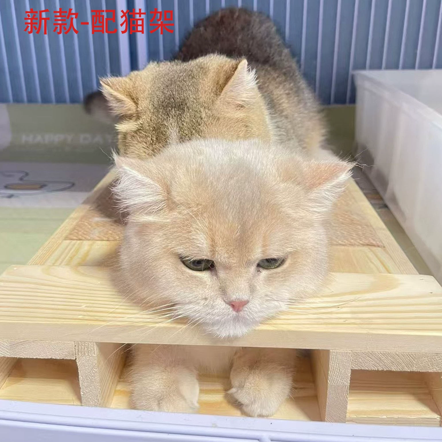 Новая модель - подставка для разведения кошек с доской для кошачьих когтей, приподнятая доска для кошачьих когтей с пеньковой веревкой, вспомогательная подставка для разведения котов-самцов.