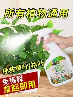Nutrient Solution for Plants, Universal Flower-Growing Money Tree, Green Plants, Florals and Pothos Fertilizer, Indoor Potted Plant Foliar Fertilizer Spray