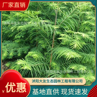 �������l ��������ɼ���� ���^�쾰��·�@�ֹ��̾G����