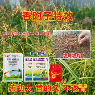 �㸽�ӌ����������ˌ����㸽�ӷ����׻�¡��������ˮ����ƺ���݄�