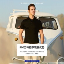 ʯ���ӸߙnҺ����POLO�����l��ӡ��logo ��ʲ �����K ���� �젖��