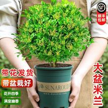 ��ˮ���m�����Դ��莧����������B����ֲ���҃��ļ��_����þGֲ