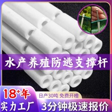 �Bֳ���ӾW֧�ΗUС���rз�����~�������֧�ܲ����֧�ܗU���ڗU