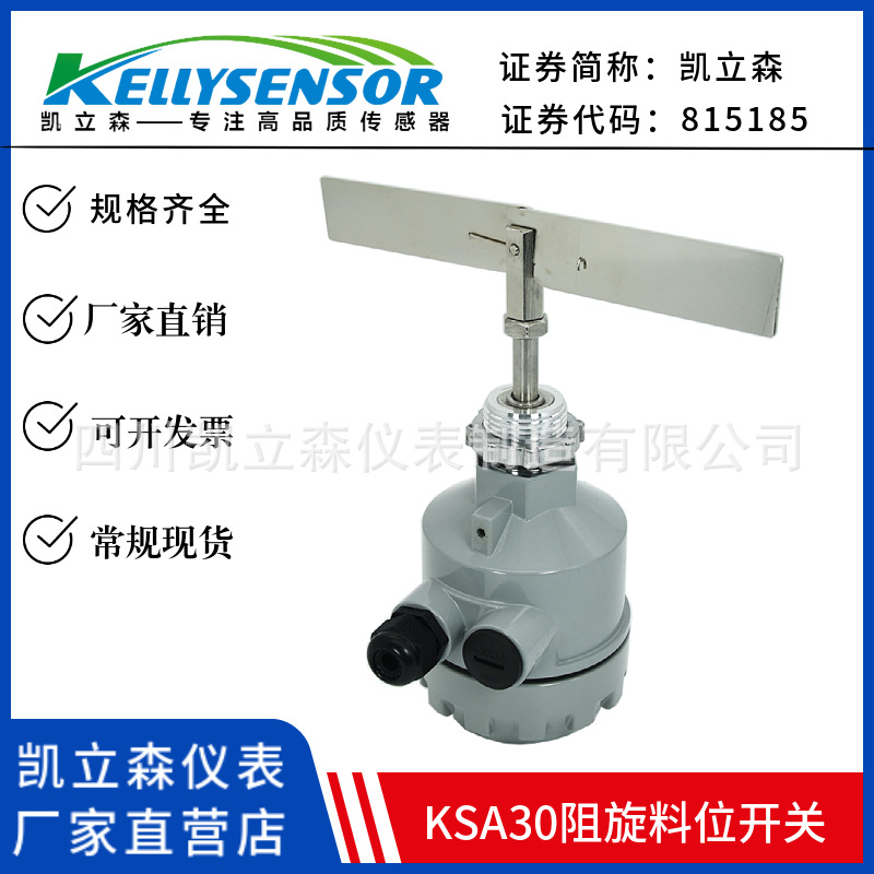 阻旋料位计 (6).jpeg