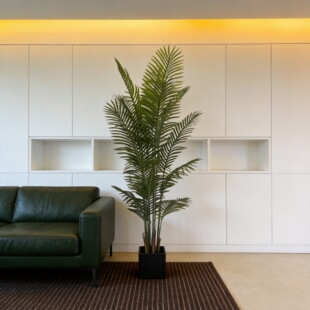 ����Gֲ���Ի��ܼٿ���ɢβ���Ž�������̘I����UV�������Gֲ