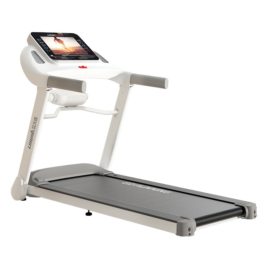 Lijiujia E9 plegable hogar grande caminadora eléctrica deportes al aire libre gran conjunto completo de equipos de fitness hombres y mujeres