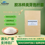 现货批发胶冻样类芽孢杆菌生物有机肥水溶肥壮根改善土壤壮苗丰果