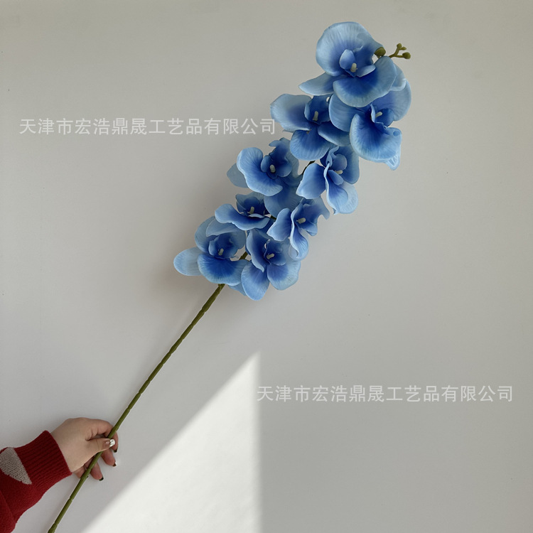 微信图片_202303031341507_副本