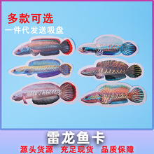 �����~���p���ˮ�Ӻ������~����ҧ��Ӗ����ƬPVC�zӡ�~�����l