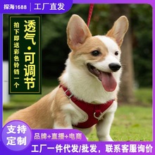 狗狗牵引绳背心式狗绳泰迪小型犬比熊博美胸背带小狗幼犬遛狗代发