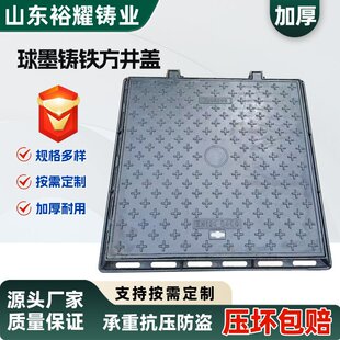 ��ī�T�F���ξ��w �����p�͆��_�p�_�T�F�w�� �F؛�T�F���w