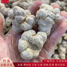 �����ɽ�������� ����ֱ������ɢ�b�������� �a�����l ���b���l