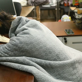 绒毯;其他毛毯;法兰绒毯