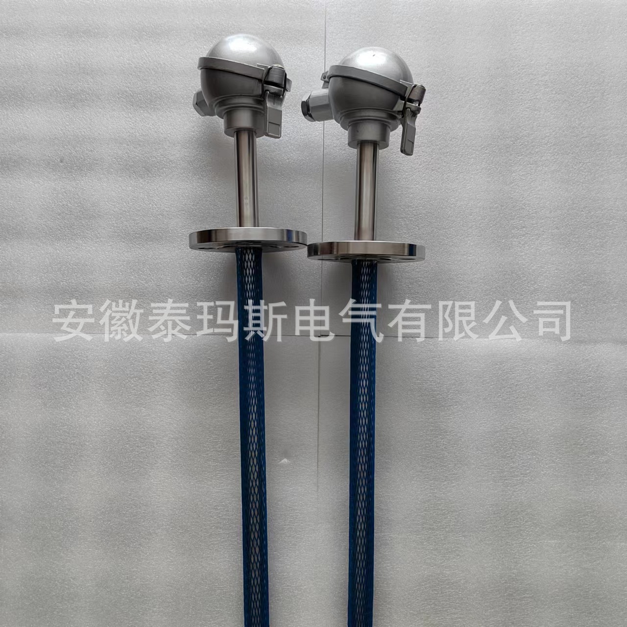 WRNM-230 热电偶 高温合金热电偶 泰玛斯