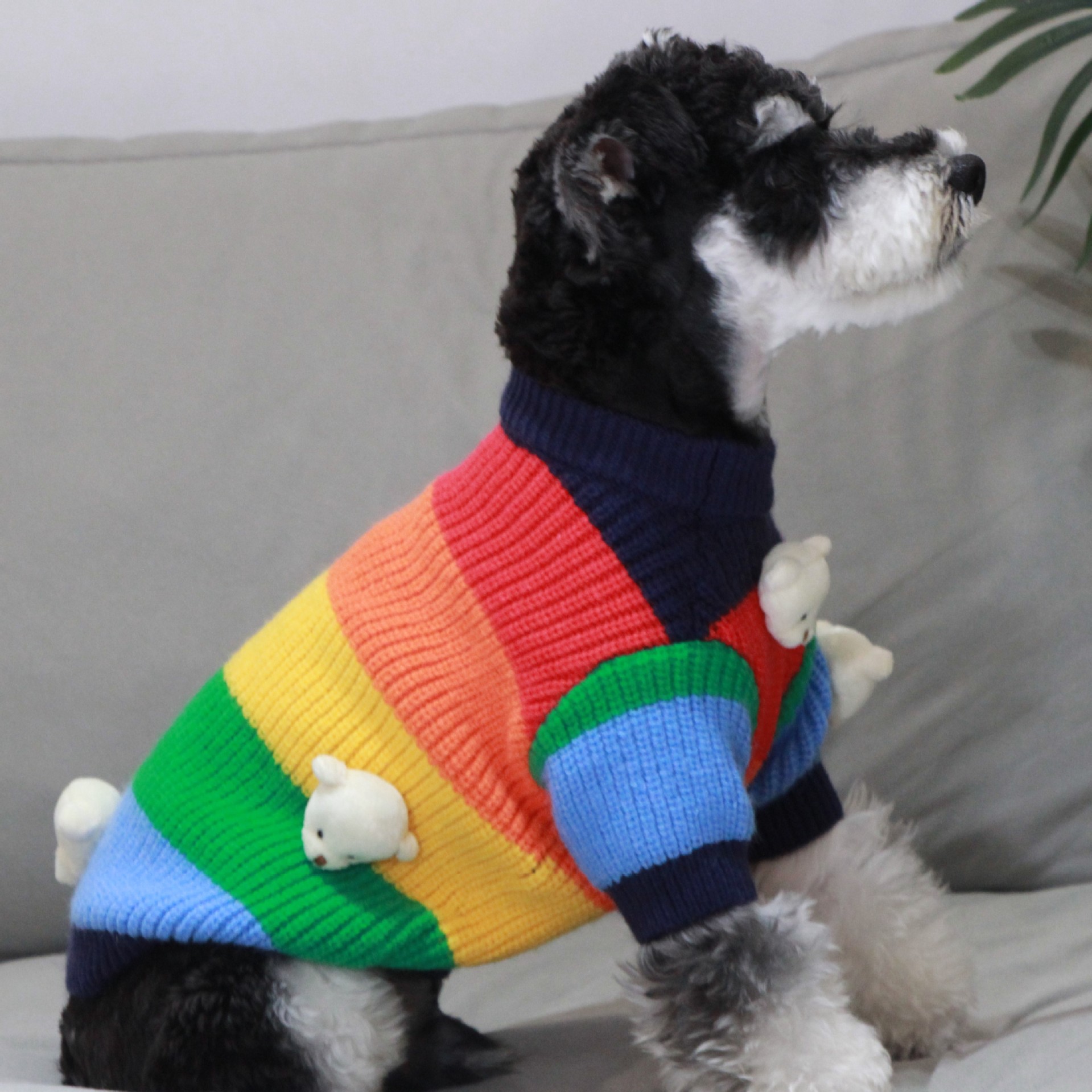 개 옷 겨울 따뜻한 FADOU SCHANERY BEARS 테디 차이 개 웨스트 하이랜드 애완 동물 스웨터 레인보우 니트