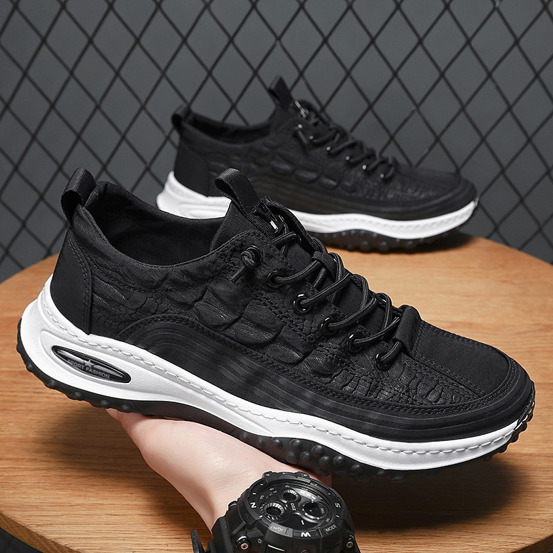 흰색과 검은 색