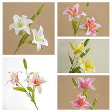 �ٻ�����˫ͷ3D��ӡ�ٺ�INS����滨���ҼҾ�װ�ο羳����MW31587
