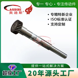 联轴器;齿轮;带轮