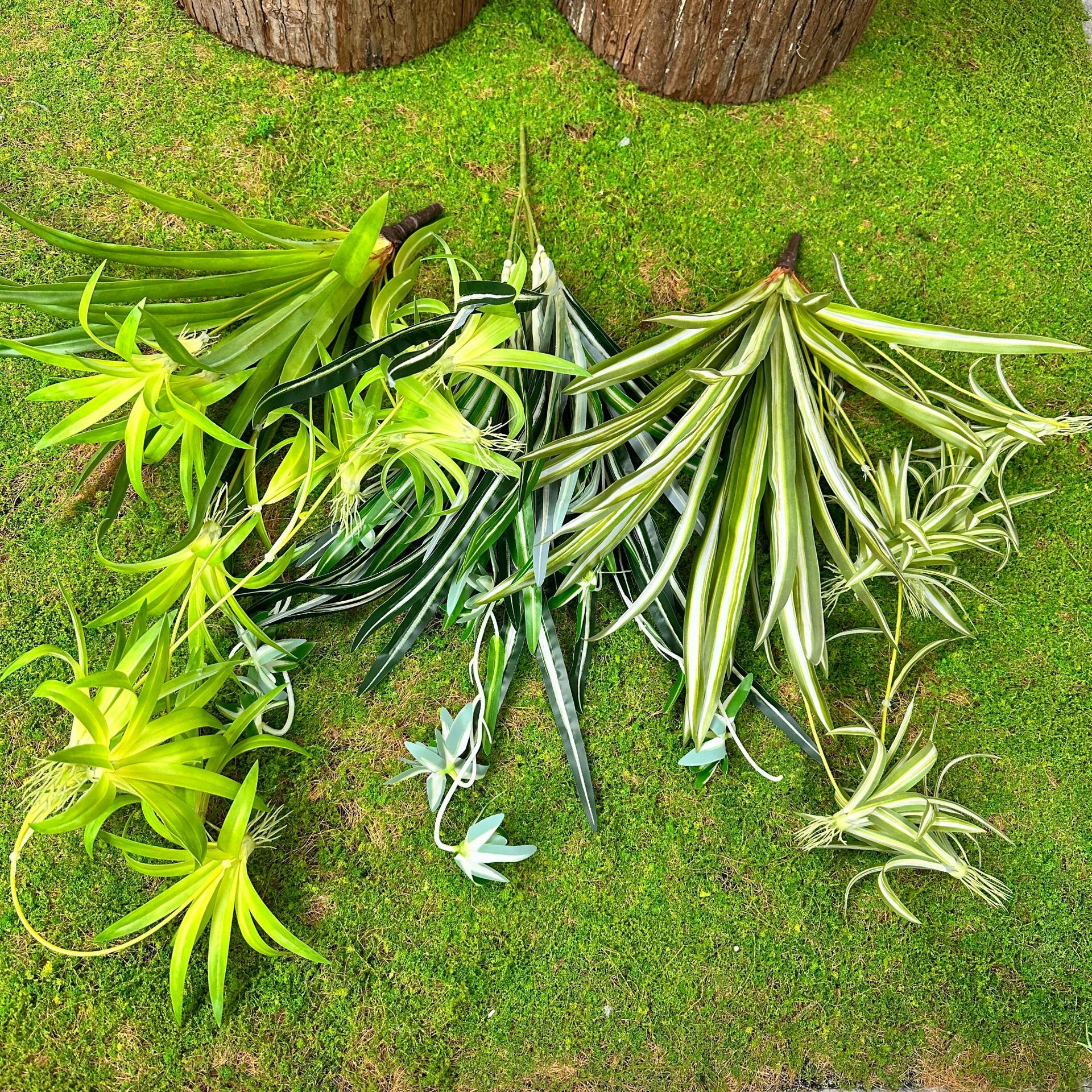 Simulación de plantas verdes Simulación de Phnom Penh Sensación de plantas de hierba araña Pared decorativa Simulación de plantas Decoración de césped falso