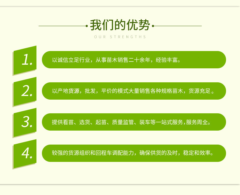 11132739731_1794264659