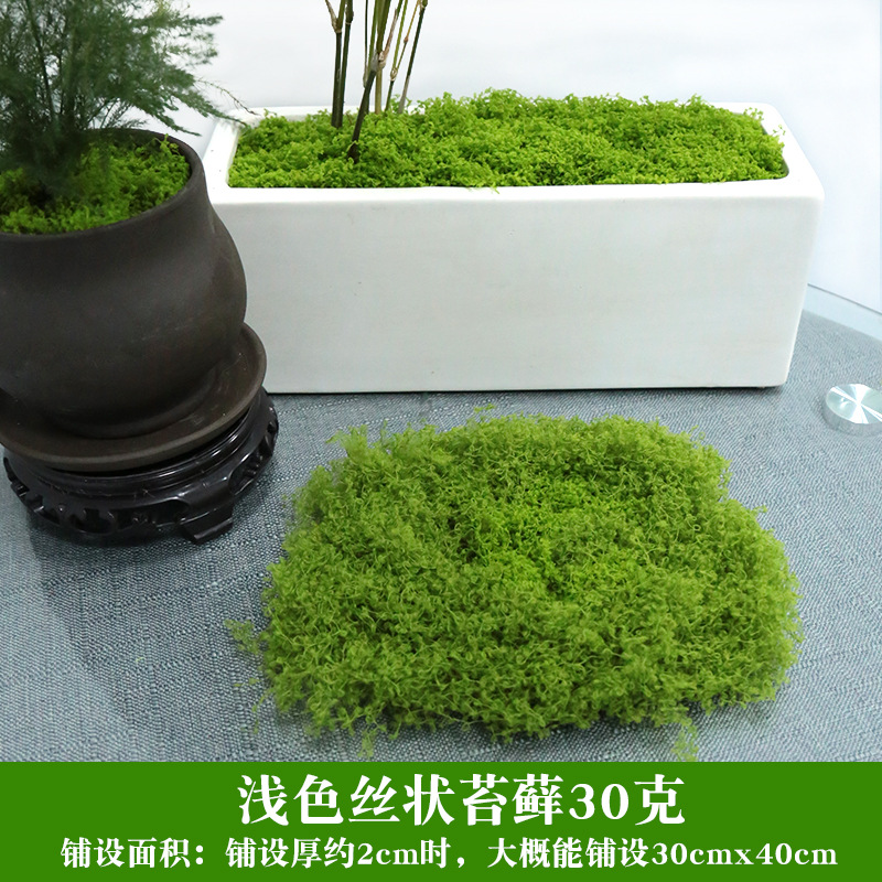 Simulación de césped de seda de musgo, paisaje de musgo biónico, plantas verdes, bonsai, pavimento de paisajismo, decoración de musgo falso, césped falso