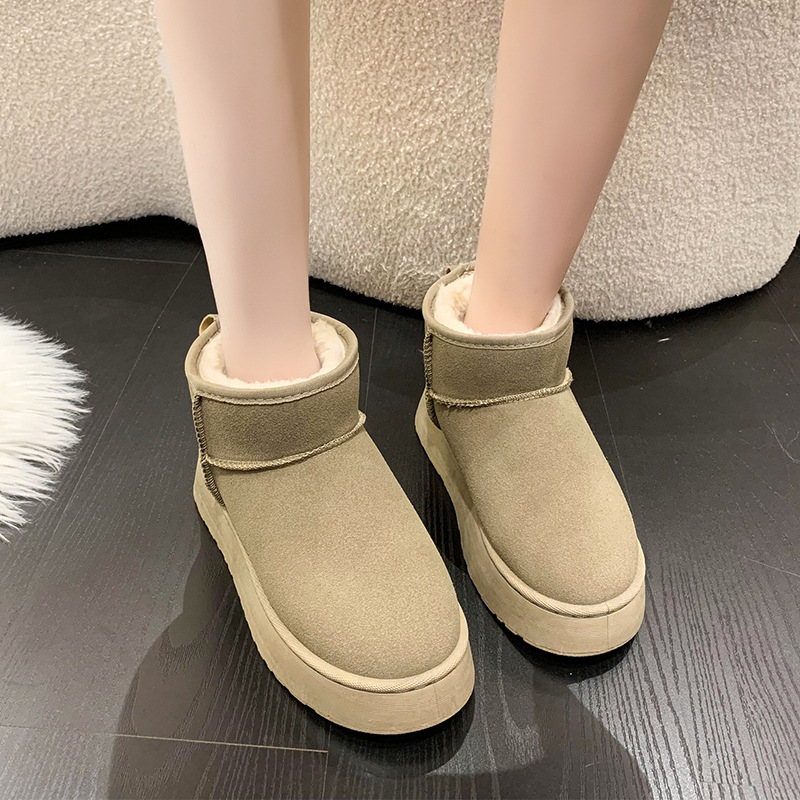 영양 브라운