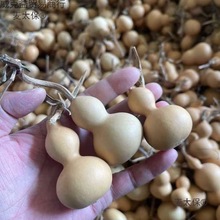 С���J��Ȼ���J������������[������S�ҵؔ�С����Ҿӿ���̫��