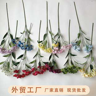 3D���滨�¿ţ�����Ȼ��Ҿ��b�Y�Y�ò��ÿ羳���Q�S�����l