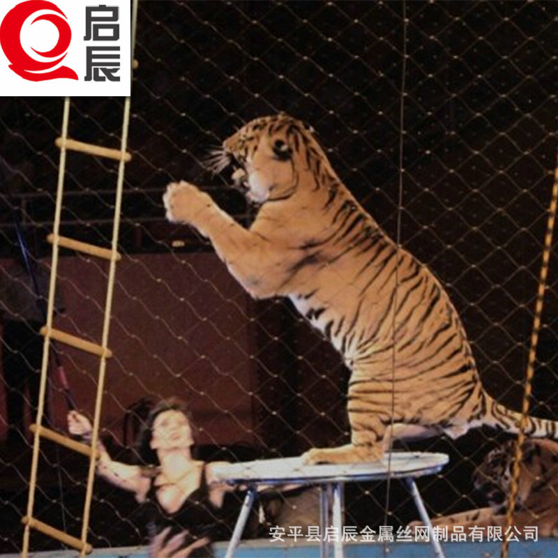 不锈钢绳网 马戏团表演用升降防护网 保护围网 不锈钢丝绳网