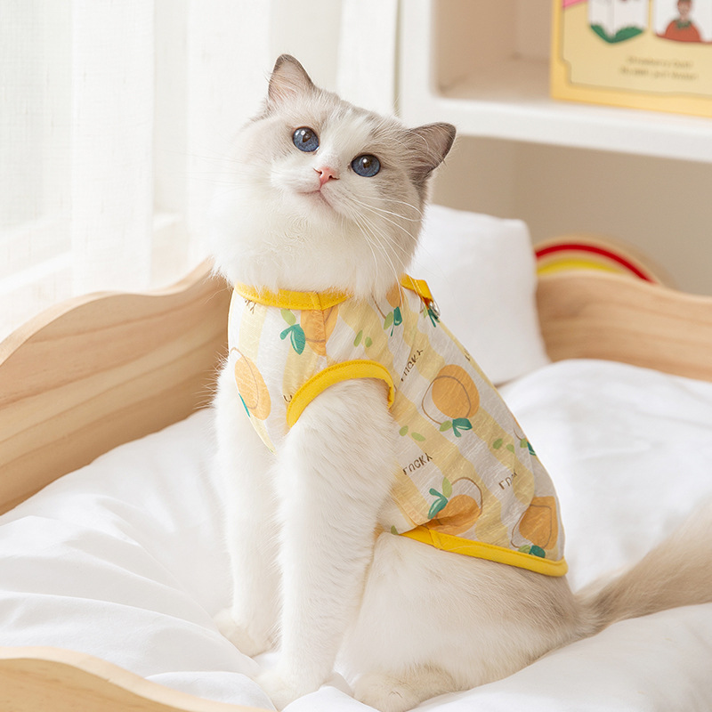 Gato de verano respirable delgado lindo viento impresa mascota Teddy Bo Mei chaleco de dos patas gato sin pelo ropa de gato azul