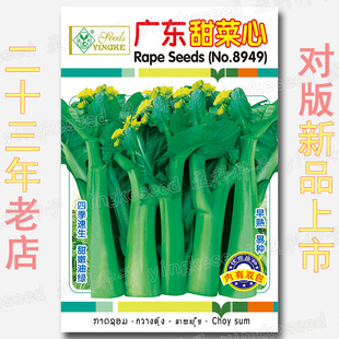 13�ˏV�|����ķN�� �����;G �ļ��׷N ��̦���� �߲˷N�����l