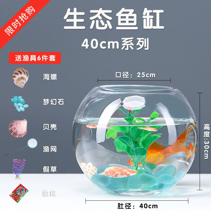 Transparent glass small aquarium for office