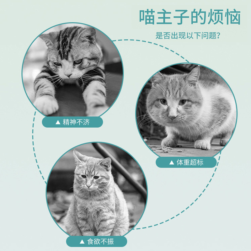 Bocadillos para gatos, menta para gatos, galletas de pescado para gatos, hierba para gatos, grano de hierba para gatos, dientes limpiadores, molares, nutrición, aumento de peso, gatos enlatados