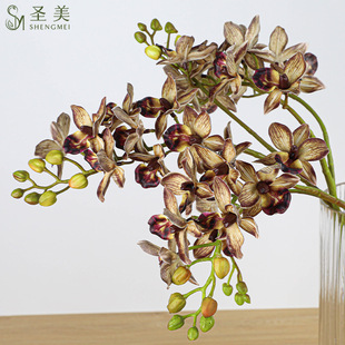 ���滨С2��ǧ�B�m�����m֩���m��c�Ҿ��bٻ��Ƶ��c�廨��