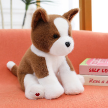 �ɐ�����������ߵ�ë�q�����������˯�X����߅���Ȍ��[�����l