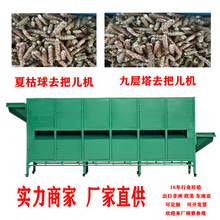 ȫԄӸɝȥљC๦ȥCĿљC