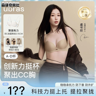 2025��ͦ���W���L�o�۾۔nС���@������{�������ݕ���ͬ��